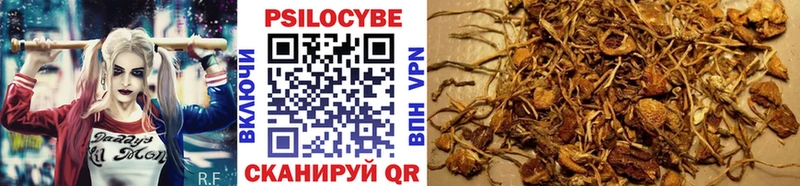hydra ссылка Россошь Псилоцибиновые грибы мухоморы