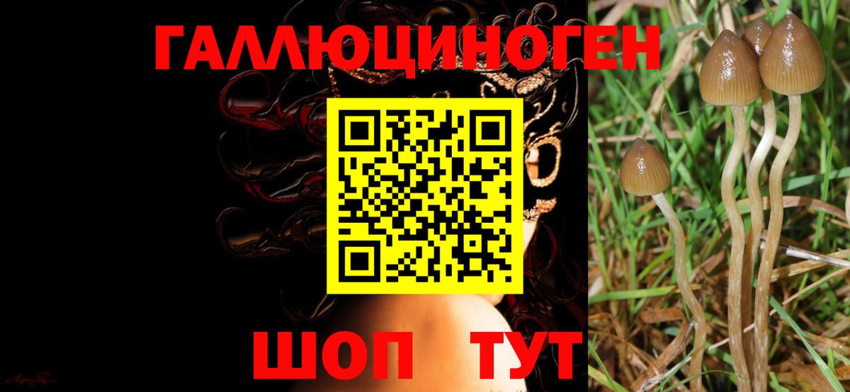 Псилоцибиновые грибы ЛСД Россошь