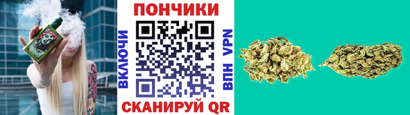 Бошки марихуана план  Россошь 